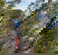 Wild Earth Coastal High 50 - Holiday Sunshine Coast