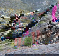 Wonderland Run - Sunshine Coast Tourism