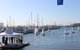 73rd Sail Past And Blessing Of The Fleet - thumb 0