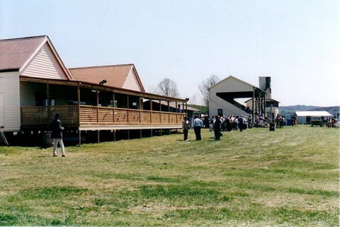 Adaminaby Cup Race Day - Holiday Sunshine Coast 1