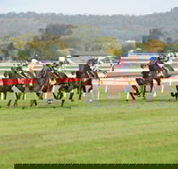 Aggies Race Day - Sunshine Coast Tourism