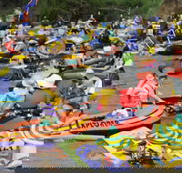 Australia Day Celebrations Gunnedah - Sunshine Coast Tourism