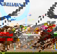 Ballina Boxing Day Races - Sunshine Coast Tourism