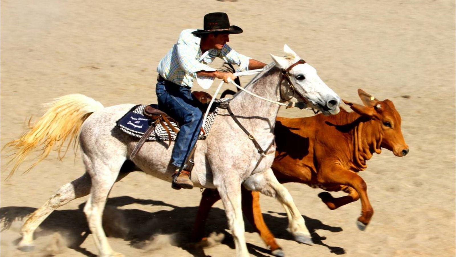 Sturt QLD Sunshine Coast Tourism