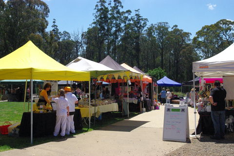 Bollygum Community Market - Sunshine Coast Tourism 0