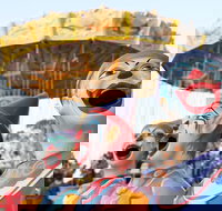 Campbelltown City Festival of Fisher's Ghost - Sunshine Coast Tourism