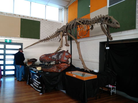 Carlingford Gem And Mineral Expo - Sunshine Coast Tourism 1