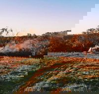 Cargo Road Wines Grande Fiamma - Sunshine Coast Tourism