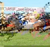 Casino Cup - Sunshine Coast Tourism
