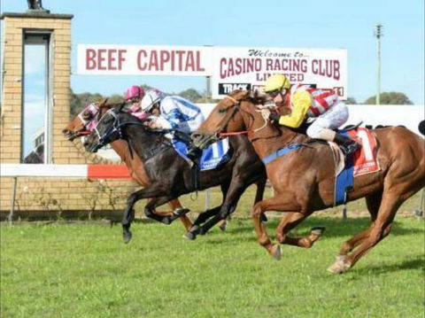 Casino Cup - Sunshine Coast Tourism 0