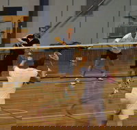 Charlton Badminton Club Ladies Tournament - Sunshine Coast Tourism