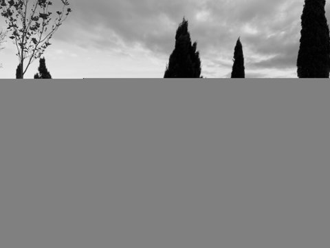 Cheese And Wine Experience - Holiday Sunshine Coast 1