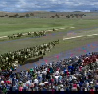 Cooma Sundowners Cup - Sunshine Coast Tourism