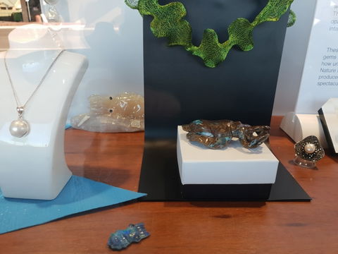 Cuttlefish Art Trail - Cuttlefest 2020 - Sunshine Coast Tourism 1