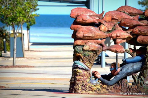 Cuttlefish Art Trail - Cuttlefest 2020 - Sunshine Coast Tourism 2