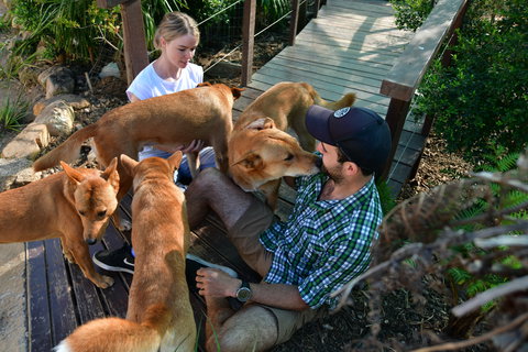 Dingo Den Discovery Experience - Sunshine Coast Tourism 1