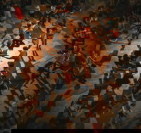 Downside Bush Dance - Sunshine Coast Tourism