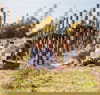 Family Picnic Weekend - Sunshine Coast Tourism