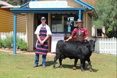 Festival Of The Big Cow - Sunshine Coast Tourism 2