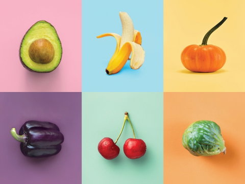 Food For Thought: Alternative Food Sources - Sunshine Coast Tourism 0