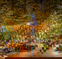 Fusion Wagga Wagga - Sunshine Coast Tourism