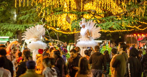 Fusion Wagga Wagga - Sunshine Coast Tourism 1