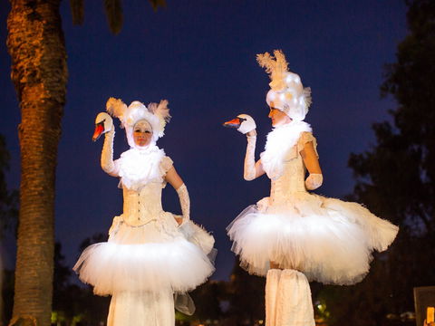 Fusion Wagga Wagga - Sunshine Coast Tourism 2