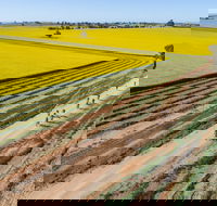 Gears and Beers Festival - Sunshine Coast Tourism