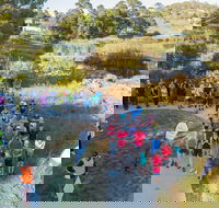 Goulburn Parkrun - Sunshine Coast Tourism