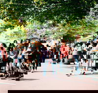 Hahndorf Christkindlmarkt - Holiday Sunshine Coast