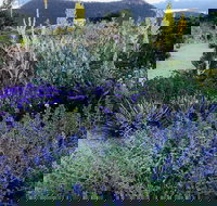 Highfield Gardens - Sunshine Coast Tourism