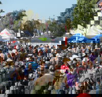 Hunter Valley Caravan Camping 4WD Fish and Boat Show - Holiday Sunshine Coast