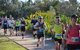 Husky Half Running Festival - thumb 0
