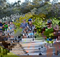 Husky Half Running Festival - Sunshine Coast Tourism