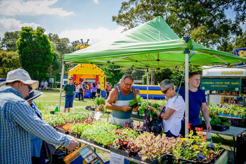 Huskisson Market - Sunshine Coast Tourism 0