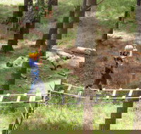 July 2020 Holidays- Go Wild at the Mt Lofty Adventure Hub - Sunshine Coast Tourism