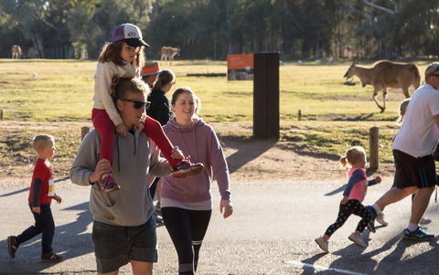 MAAS Group Dubbo Stampede Running Festival - Holiday Sunshine Coast 1