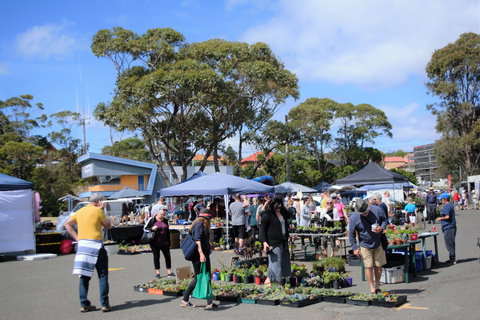 Marine Rescue Ulladulla Wharf Markets - Sunshine Coast Tourism 1
