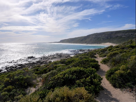 Margaret River Ultra Marathon - Sunshine Coast Tourism 1