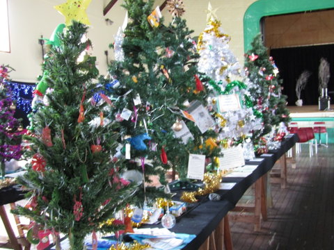Mount Morgan Christmas Tree Festival - Sunshine Coast Tourism 0