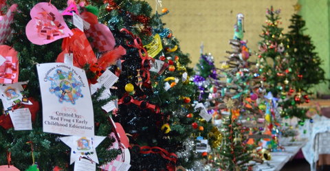 Mount Morgan Christmas Tree Festival - Sunshine Coast Tourism 2