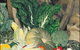 Mulgowie Real Farmers Markets - thumb 0