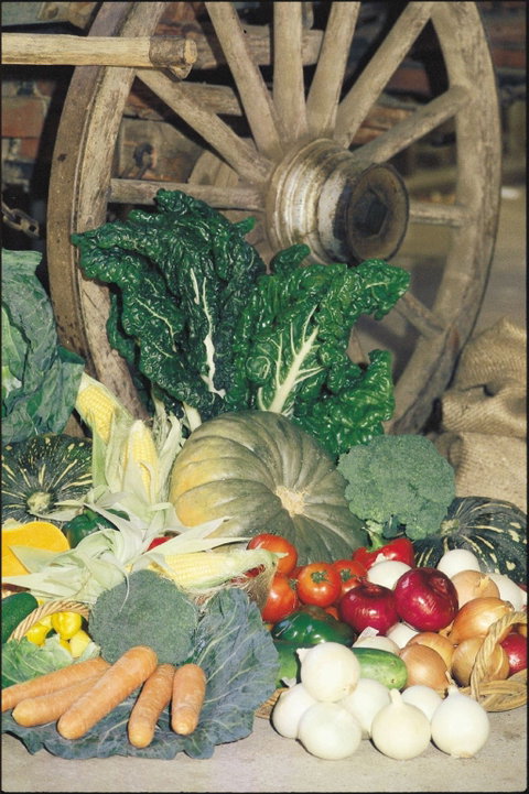 Mulgowie Real Farmers Markets - Sunshine Coast Tourism 0