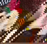 Murrindindi Beanie  Fibre Festival Online - Holiday Sunshine Coast