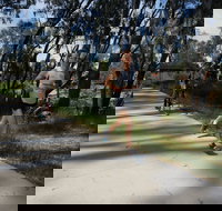 Ned Kelly Chase - Sunshine Coast Tourism