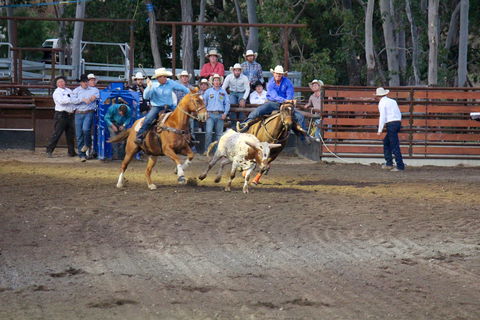 North Queensland Elite Rodeo - Sunshine Coast Tourism 0