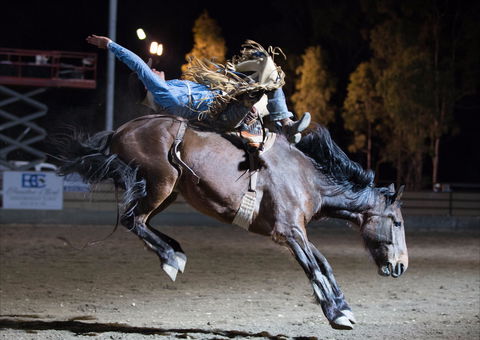 North Queensland Elite Rodeo - Sunshine Coast Tourism 1