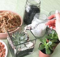Online live streaming class Make Your Own Terrarium - Sunshine Coast Tourism