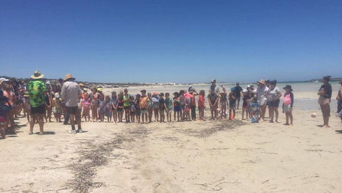 Perlubie Beach Sports Day - Sunshine Coast Tourism 1