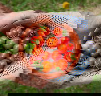 Riverina Producers Market - Sunshine Coast Tourism